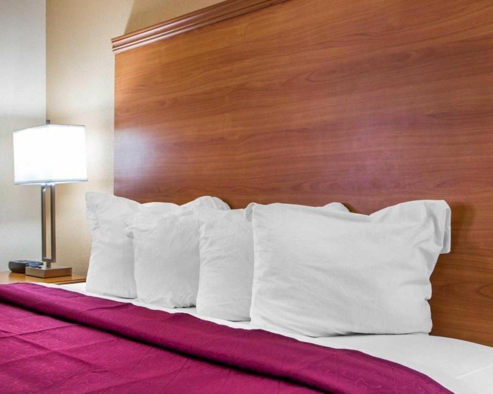 Quality Inn Ottawa Near Starved Rock State Park Eksteriør bilde