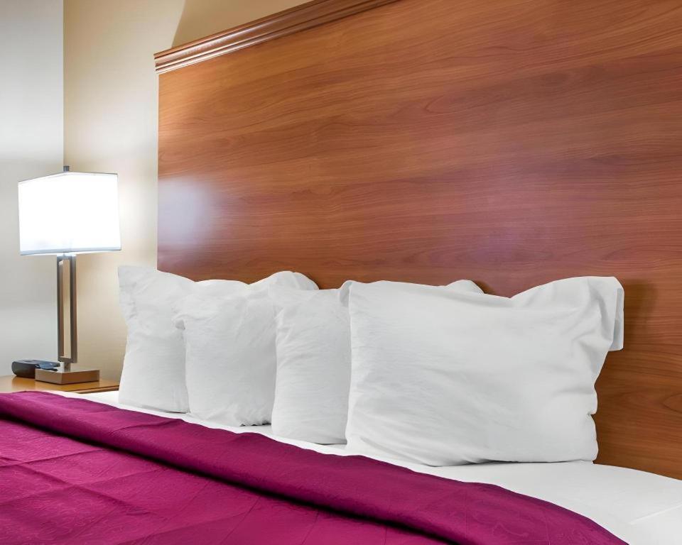 Quality Inn Ottawa Near Starved Rock State Park Eksteriør bilde
